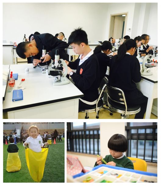 Junhwa International School image