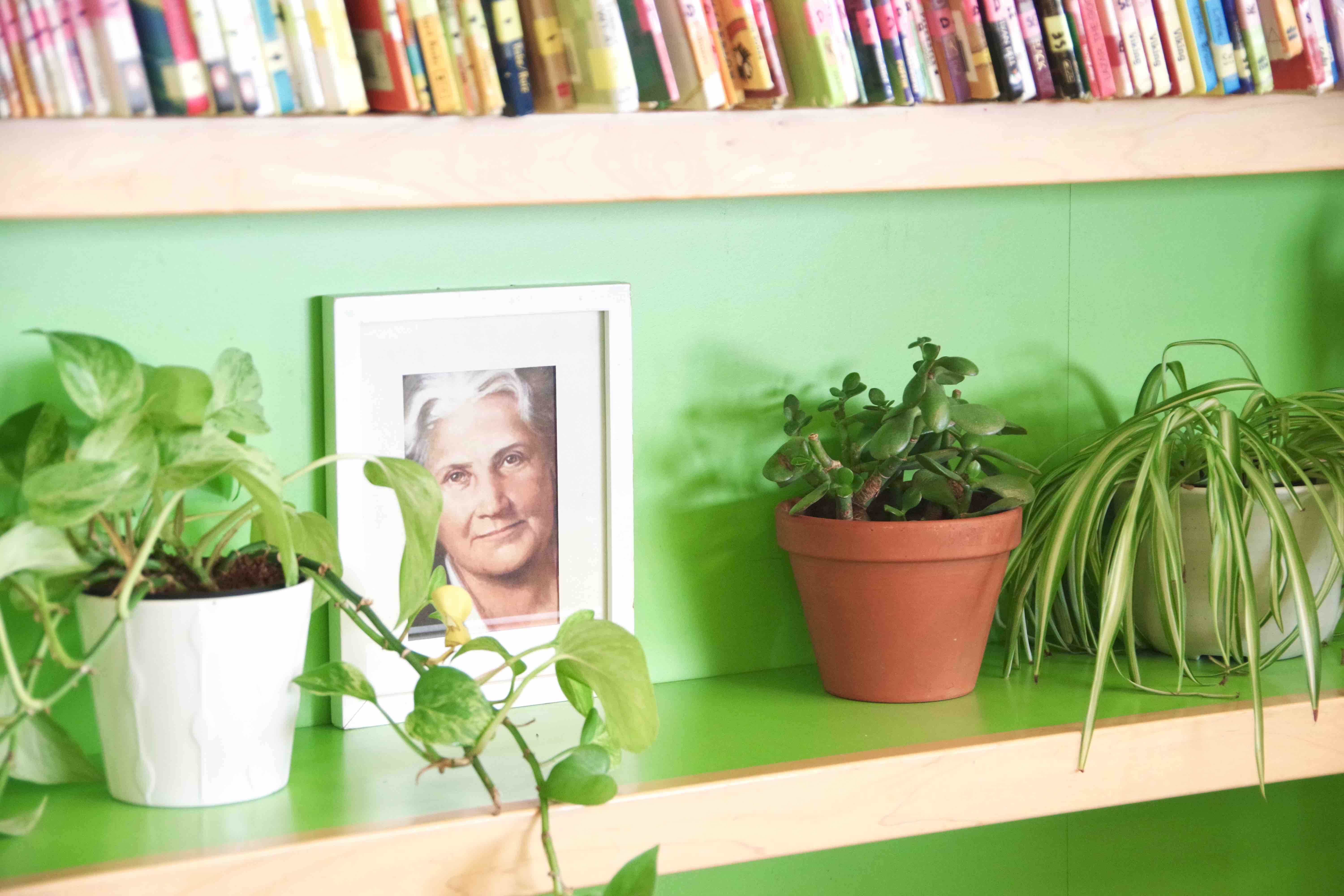 Green Ivy Schools image