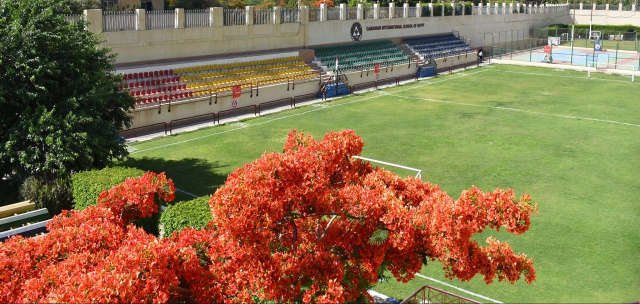 Canadian International School image