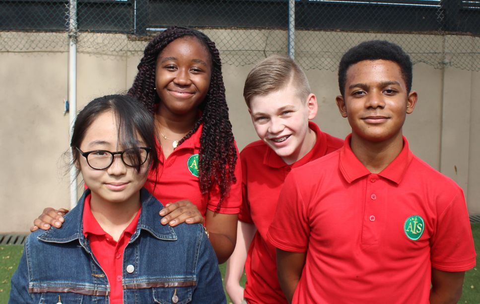 American International School image