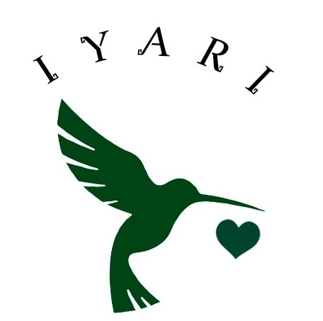 School image