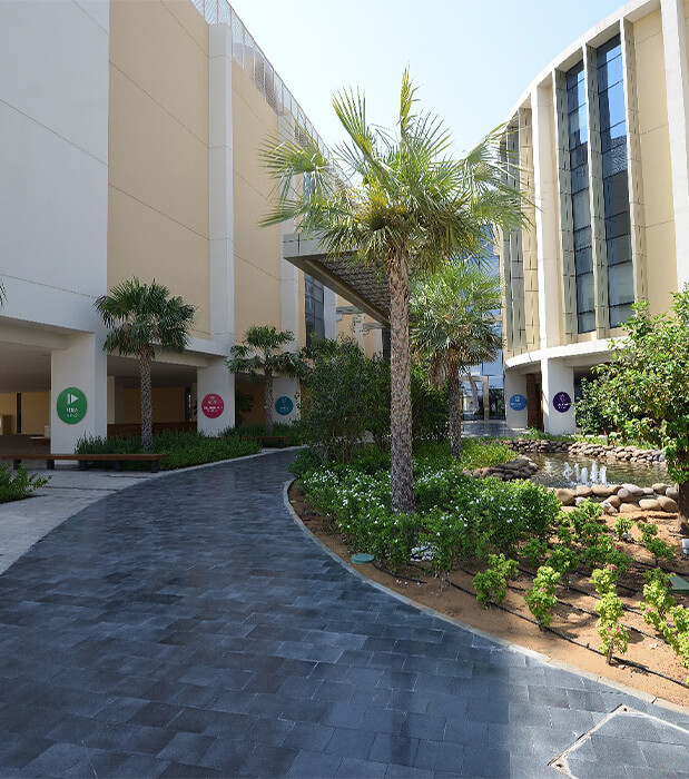 GEMS Dubai American Academy image