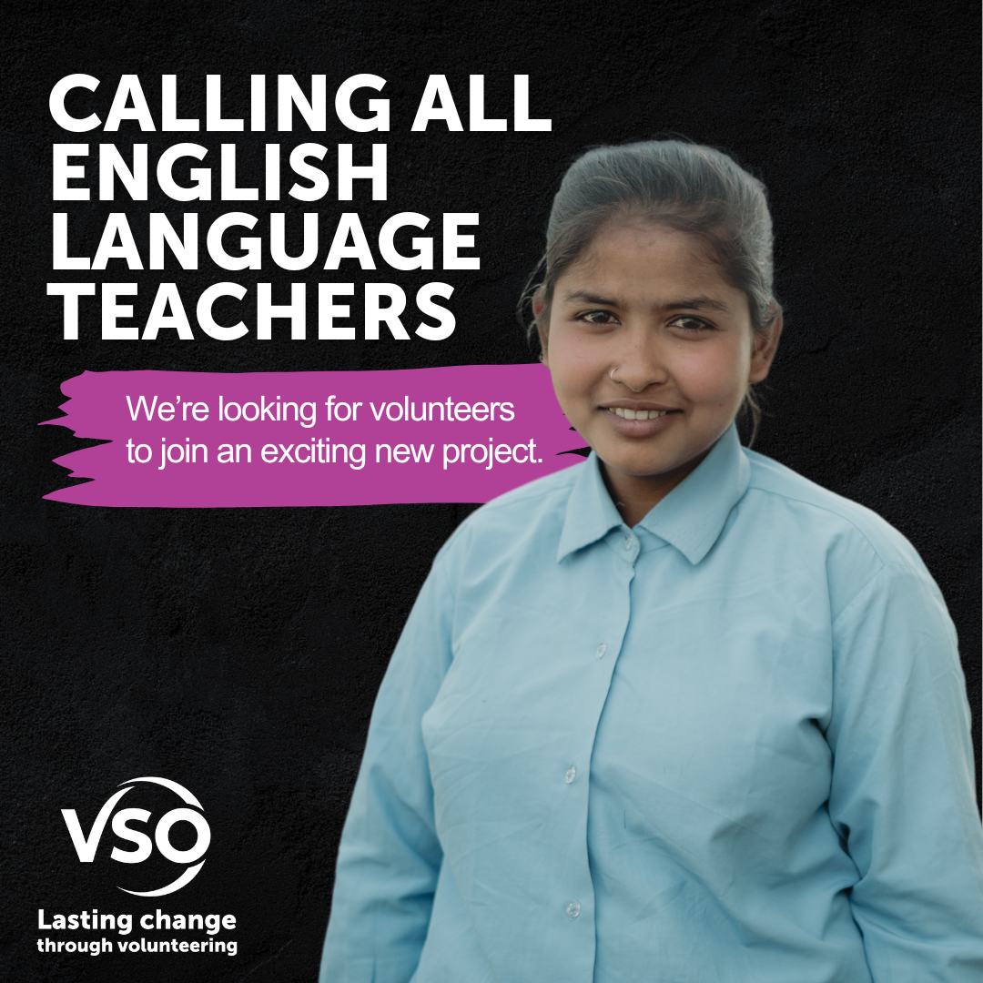 VSO International image