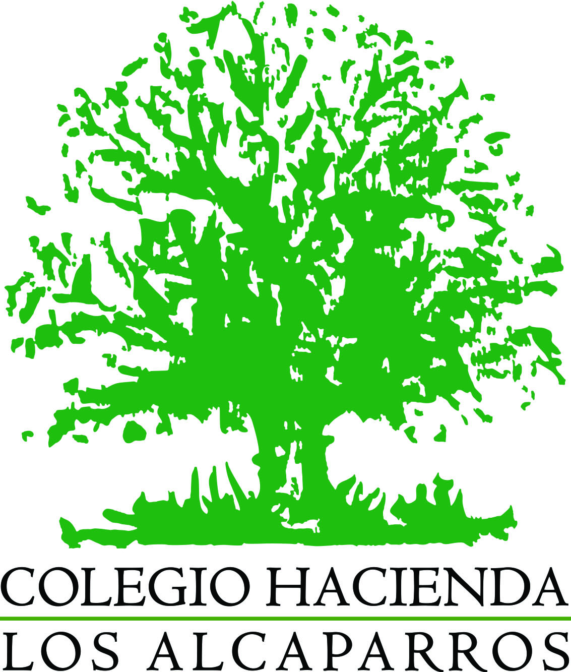 School image