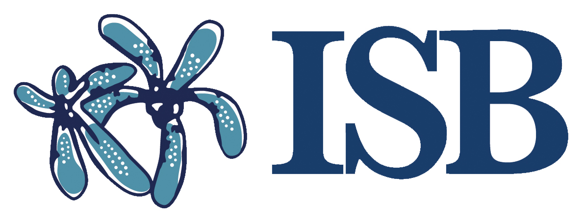 School image
