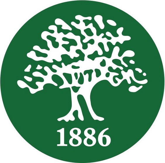 School image